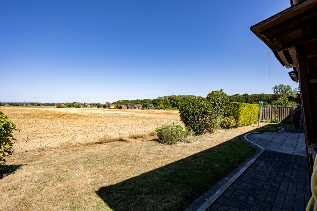 X_Feldblick