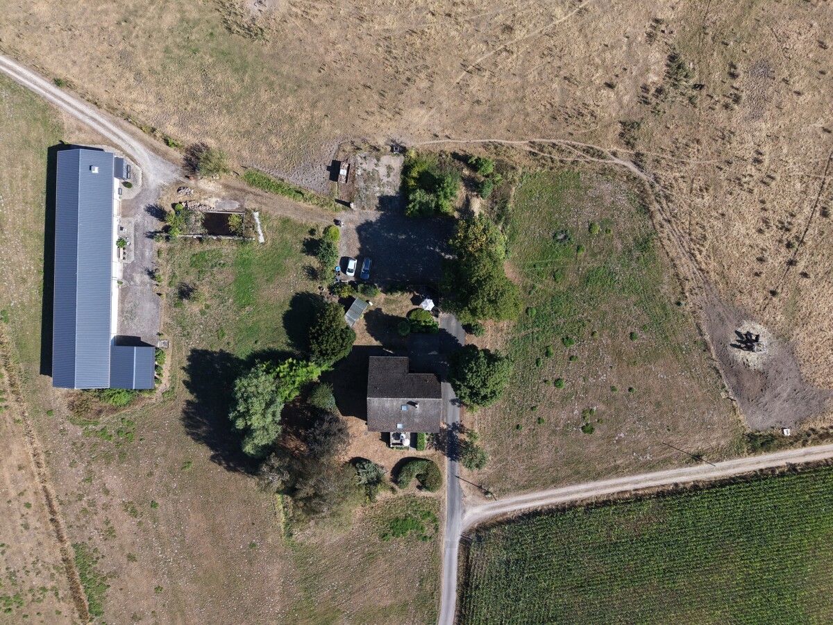 dji_fly_20260814_101022_0082_1787143289026_photo